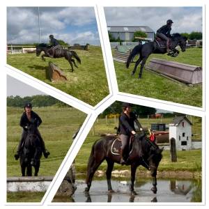 Ponette de sport taille d 5 ans – le talent polyvalent!