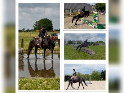 Ponette de sport taille D 5 ans – Le talent polyvalent!