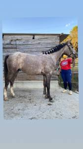 Ponette de sport 