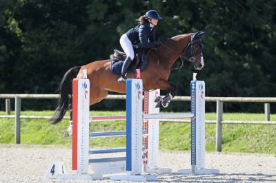 Cheval amateur 