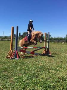 Poney pie