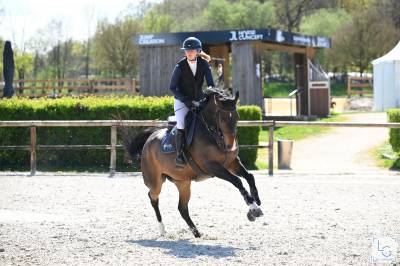 Cheval 5ans