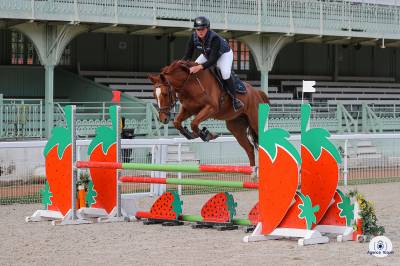 4 ans candy de nantuel x voltaire