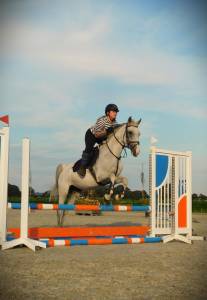 Braaf allrounder te koop