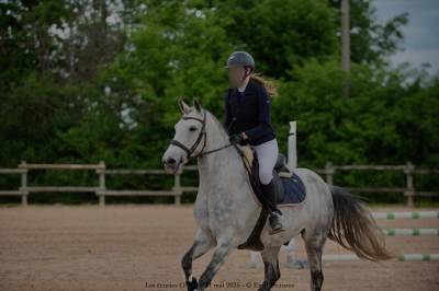 Petit cheval onc de 9 ans 