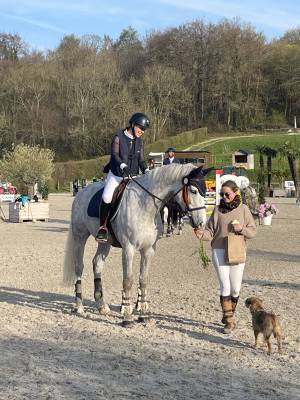 Belle jument de 10 ans - cso