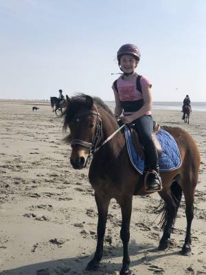 Belle dartmoor de 7 ans 