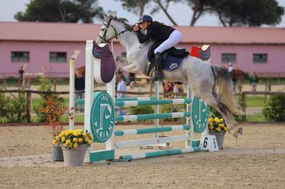 Castrone 8 anni italiano
