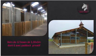 Pensions chevaux hauts de france