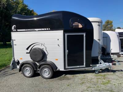 Van gold one aluline cheval liberté