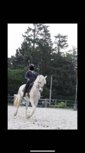 Te quiero de kervez cheval 18 ans