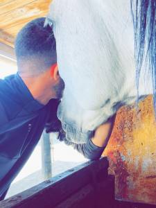 Sofien 36 ans Palefrenier pour un poste logé 