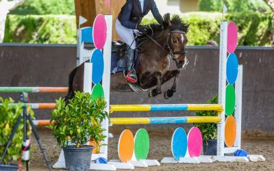 Pony B salto