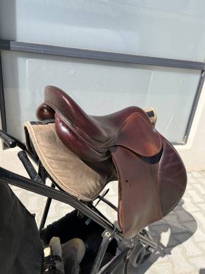 Selle antares 17’ mixte / cso