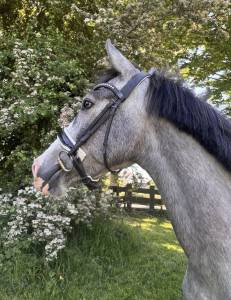 Wow bekijk deze aparte lieve ruin is ! ?