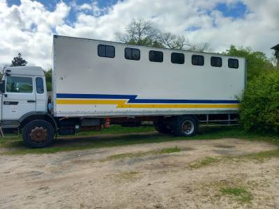 Zware paardenvrachtwagen (groot rijbewijs) renault midliner 210 1997 tweedehands