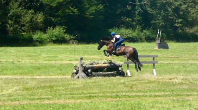 Ponette welsh part-bred 5 ans 