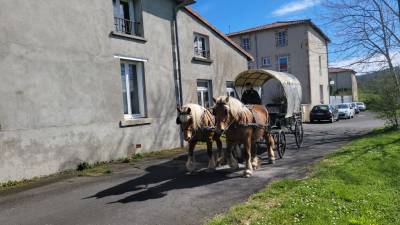 Wagonnette bachée