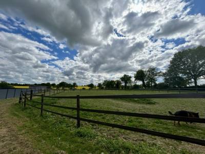 écurie de course sur 15 ha
