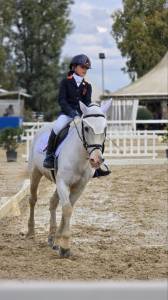 Vedo pony completista