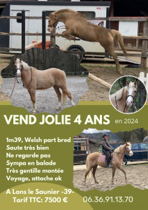 PONETTE 4 ANS TAILLE 142 FERREE
