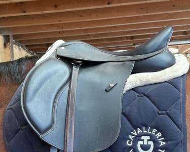 Selle wintec mixte cso taille 17