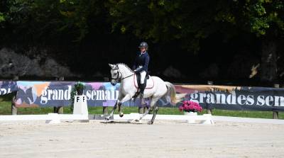 Jument connemara 7 ans 