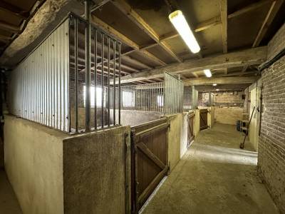 Propriété équestre de 1.7ha (62)