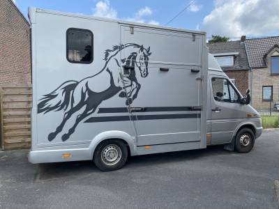 Camionnette chevaux