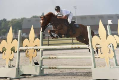 Cheval de sport 