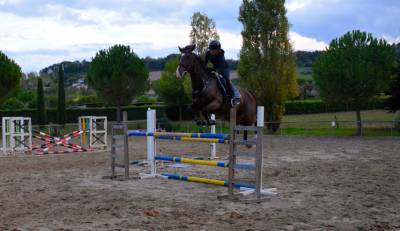 Cavallo da salto ostacoli