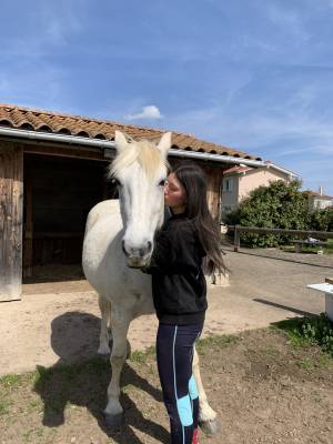 Poulinière dressage 