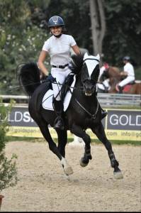 Pony da competizione 