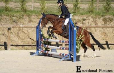 Ponette de sport 