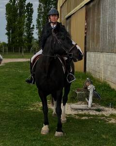 Cheval extra à vendre