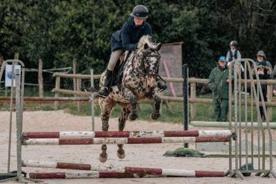 Ponette 