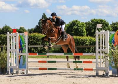 Top jeune cheval cso