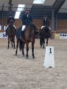 Jument cso de 9 ans
