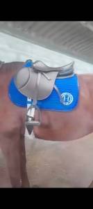 Selle tdet