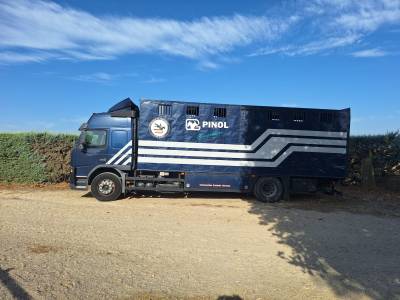 Camion 9 caballos
