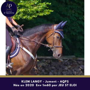 Jolie jument aqps par jeu st eloi