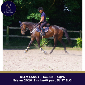Jolie jument aqps par jeu st eloi