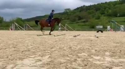 Top jument cce 