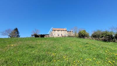 Exploitation agricole idéal projet élevage ou hébergement rur