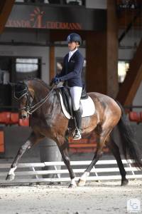 Jument de dressage 