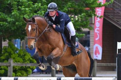 Cherche cheval à confier