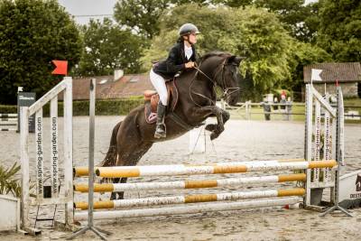 Poney d - 4 ans