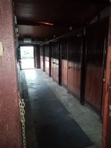 Scuderie e area recintata equestre con villa e piscina