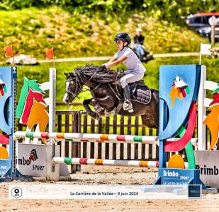 Diana Ross - Welsh A - 6 ans - IPO 126 - 120cm