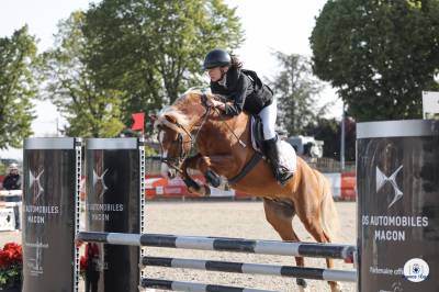 Golbury des bertaines - welsh poni (sección b) 2016 por vince diwan